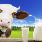 5 loại sữa dành cho người thoái hóa cột sống