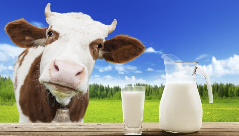 sữa tốt cho người thoái hóa cột sống