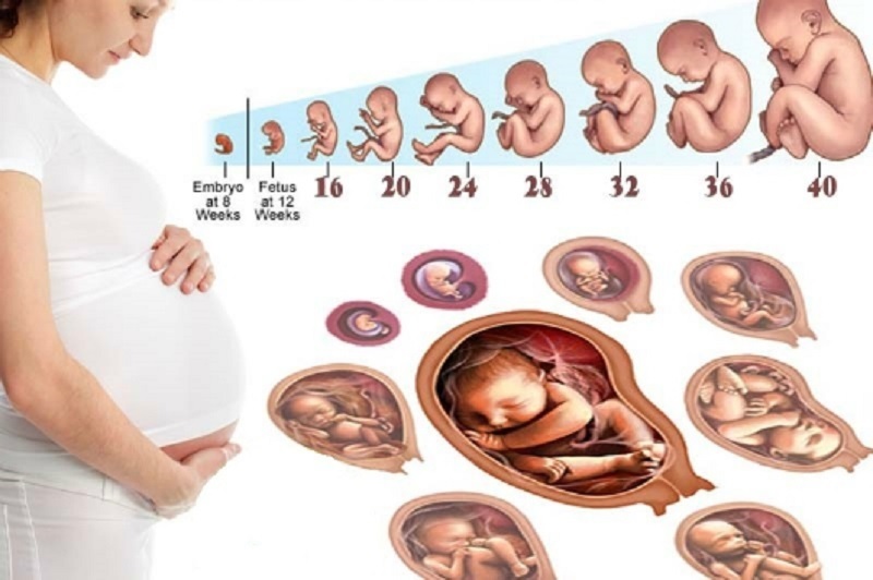 Nguyên nhân thoái hóa cột sống khi mang thai
